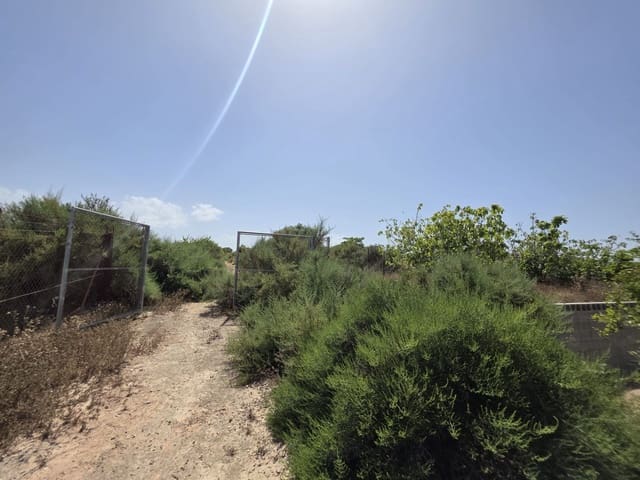 Quinta/Casa Rural para venda em Elche / Elx - 135 000 € (Ref: 9912632)