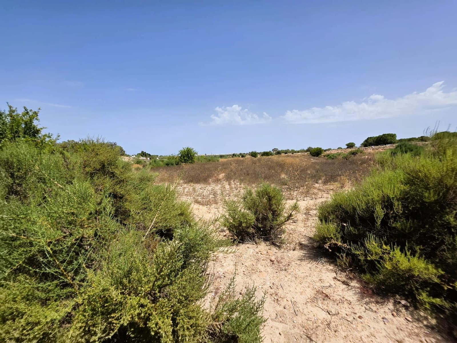 Quinta/Casa Rural para venda em Elche / Elx - 135 000 € (Ref: 9912632)