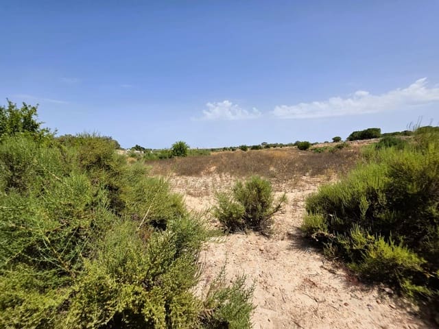 Quinta/Casa Rural para venda em Elche / Elx - 135 000 € (Ref: 9912632)
