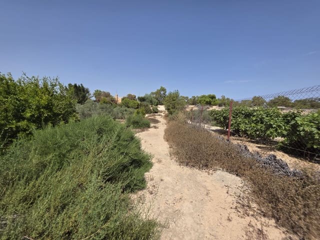 Quinta/Casa Rural para venda em Elche / Elx - 135 000 € (Ref: 9912632)