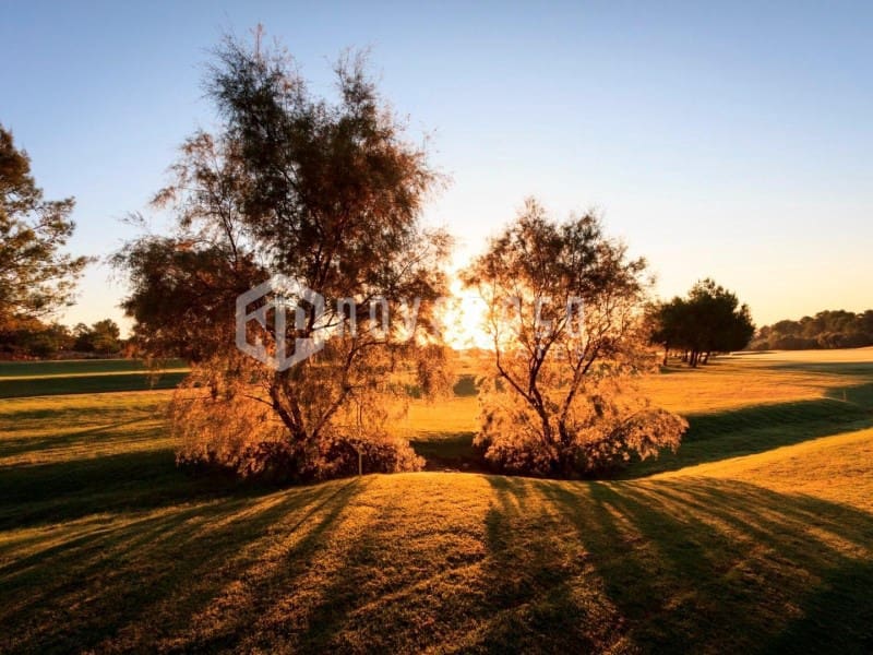 3 camera da letto Villa in vendita in Pinar de Campoverde con piscina - 499.000 € (Rif: 8973030)