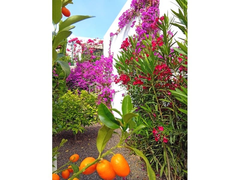 2 bedroom Villa for sale in Algorfa with pool - € 660,000 (Ref: 8986252)