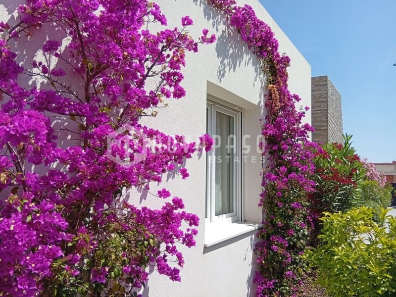 2 bedroom Villa for sale in Algorfa with pool - € 660,000 (Ref: 8986252)
