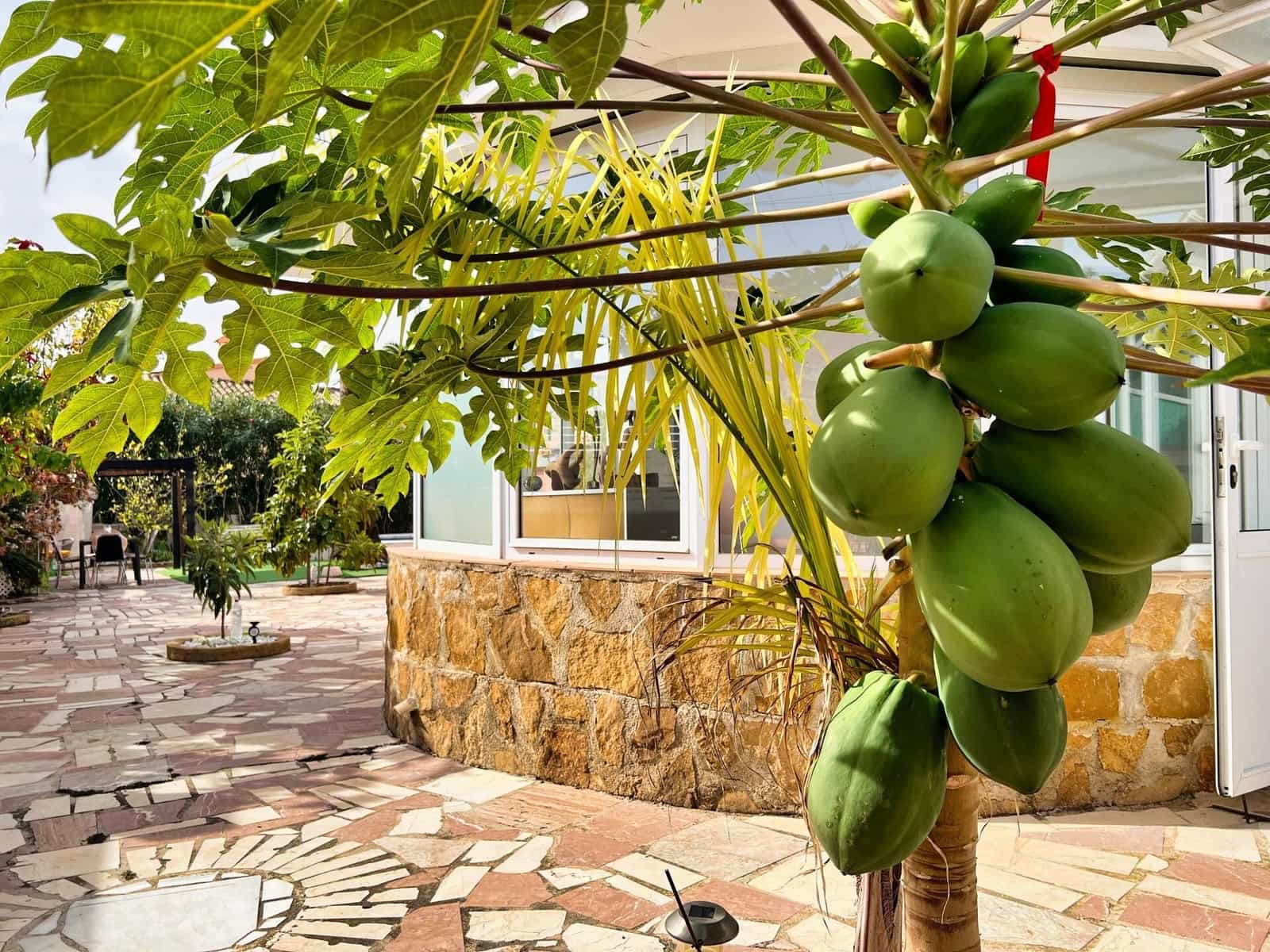 4 bedroom Villa for sale in Calpe / Calp with pool garage - € 535,000 (Ref: 9715159)