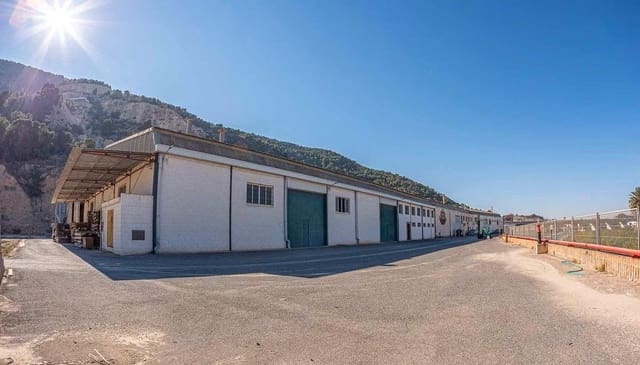 Negocio en Hurchillo, Orihuela en venta - 1.495.000 € (Ref: 9742103)