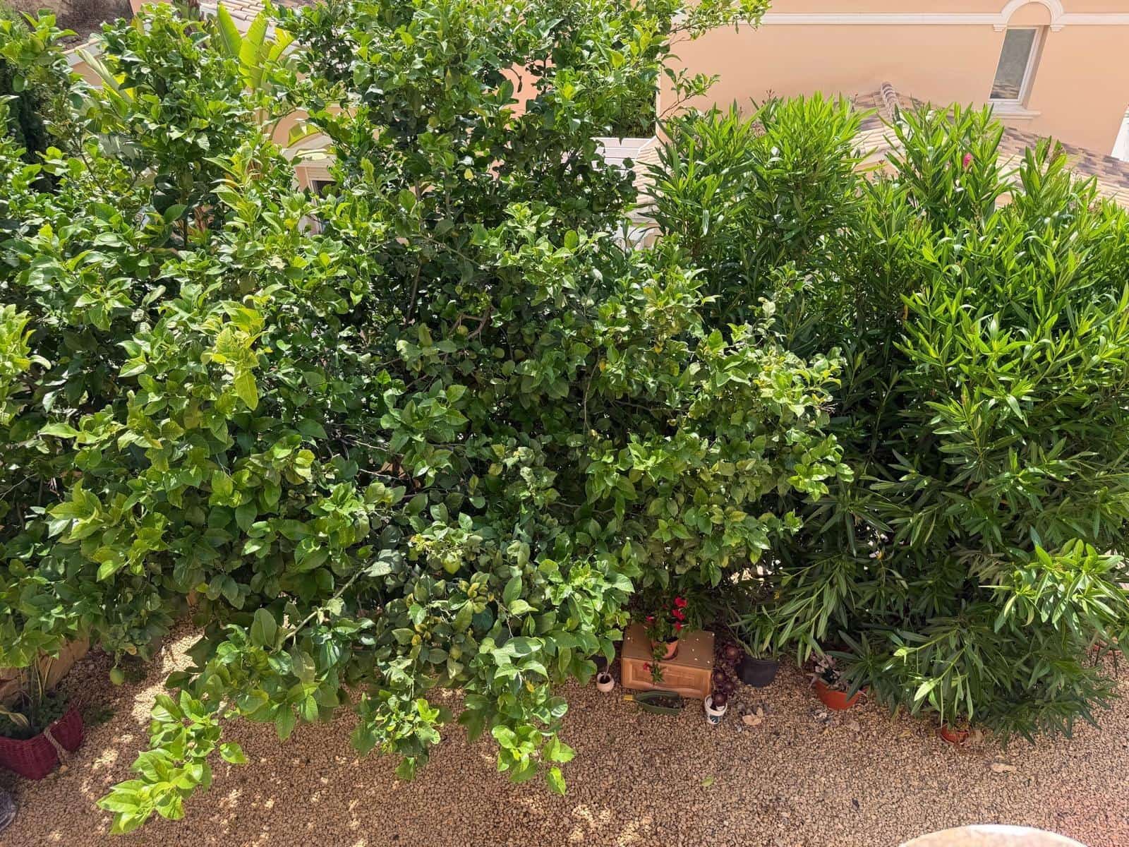 Adosado de 2 habitaciones en Calpe / Calp en venta con piscina garaje - 285.000 € (Ref: 9885059)