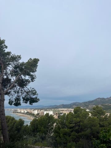 Solar/Parcela en Oropesa  en venta - 260.000 € (Ref: 9927658)