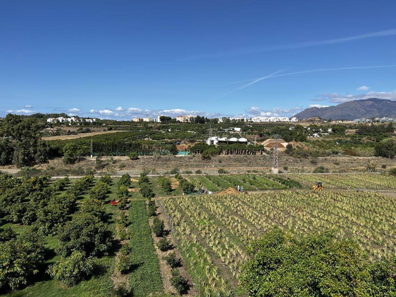 2 chambre Villa/Maison à vendre à Cancelada avec piscine garage - 370 500 € (Ref: 8976776)