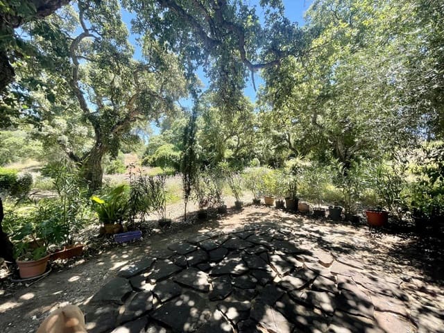 5 chambre Villa/Maison à vendre à Sotogrande Costa, San Roque avec piscine garage - 1 700 000 € (Ref: 9075472)