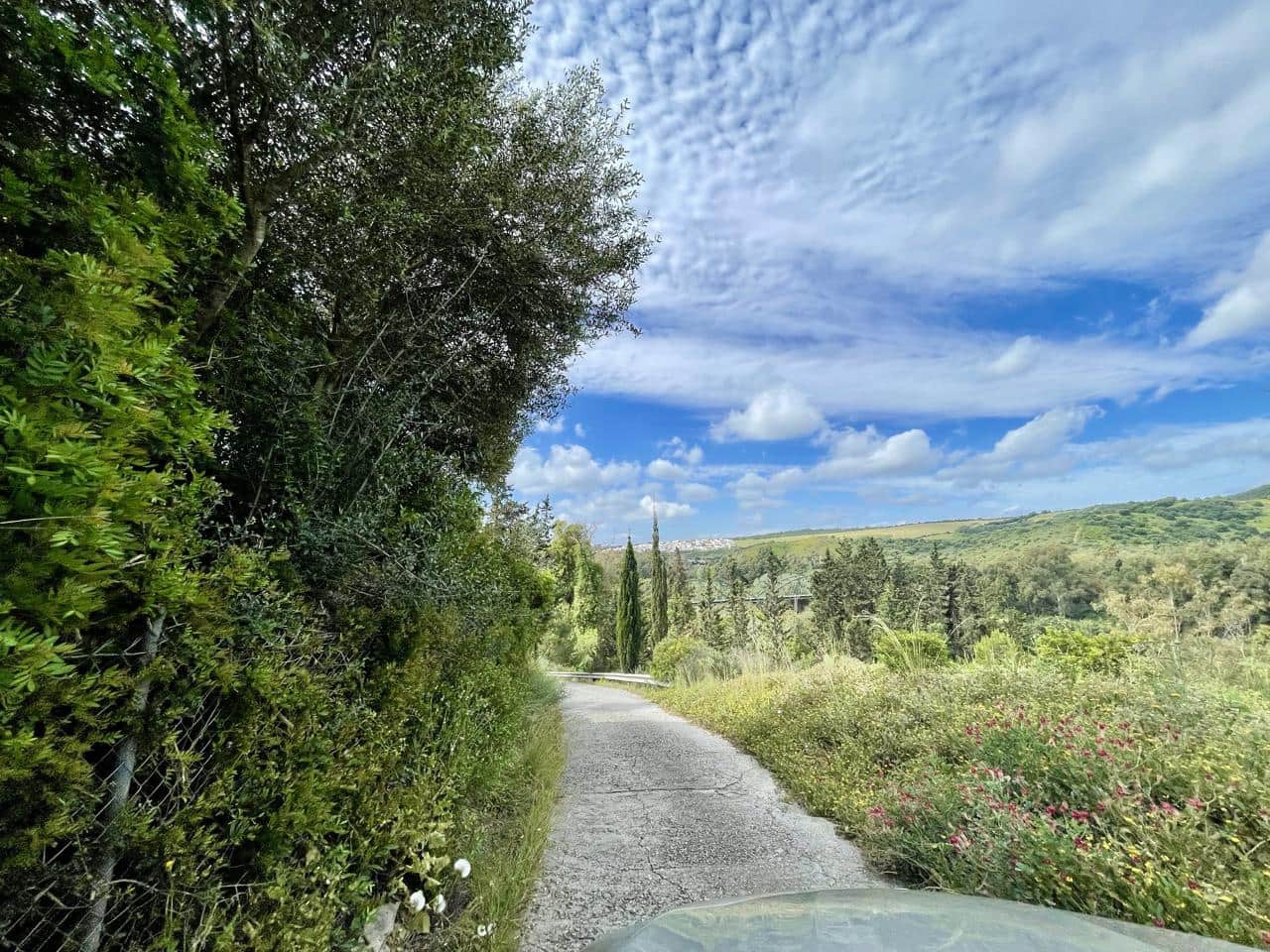 7 bedroom Finca/Country House for sale in San Enrique de Guadiaro with pool garage - € 875,000 (Ref: 9075473)