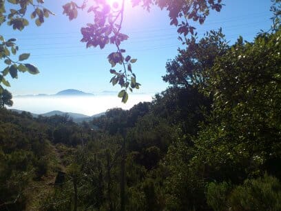 4 Zimmer Finca/Landgut zu verkaufen in Tarifa - 275.000 € (Ref: 8977093)