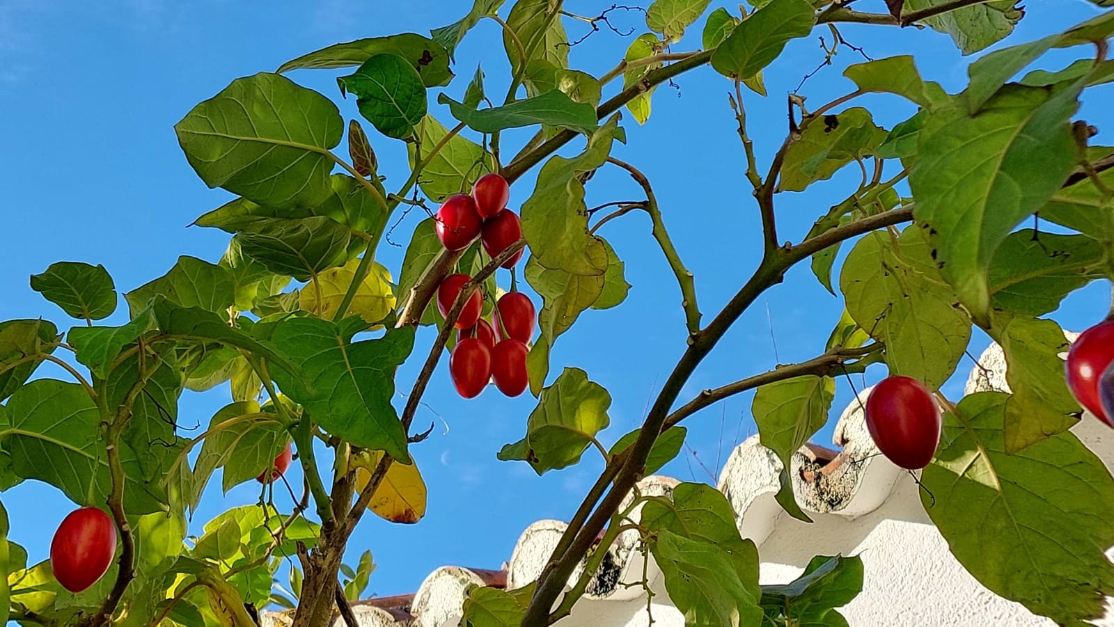 6 soveværelse Finca/Landehus til salg i Irixoa med garage - € 299.900 (Ref: 8986376)