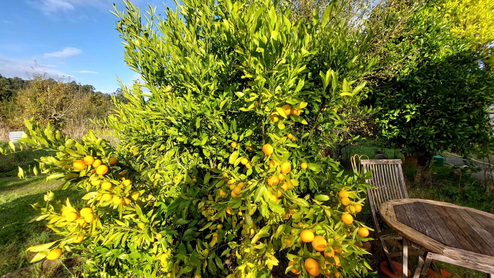 6 soveværelse Finca/Landehus til salg i Irixoa med garage - € 299.900 (Ref: 8986376)