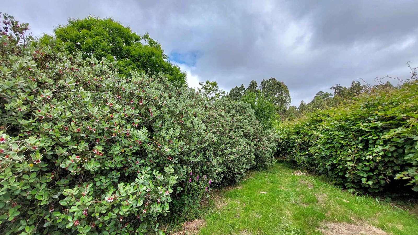 6 soveværelse Finca/Landehus til salg i Irixoa med garage - € 299.900 (Ref: 8986376)