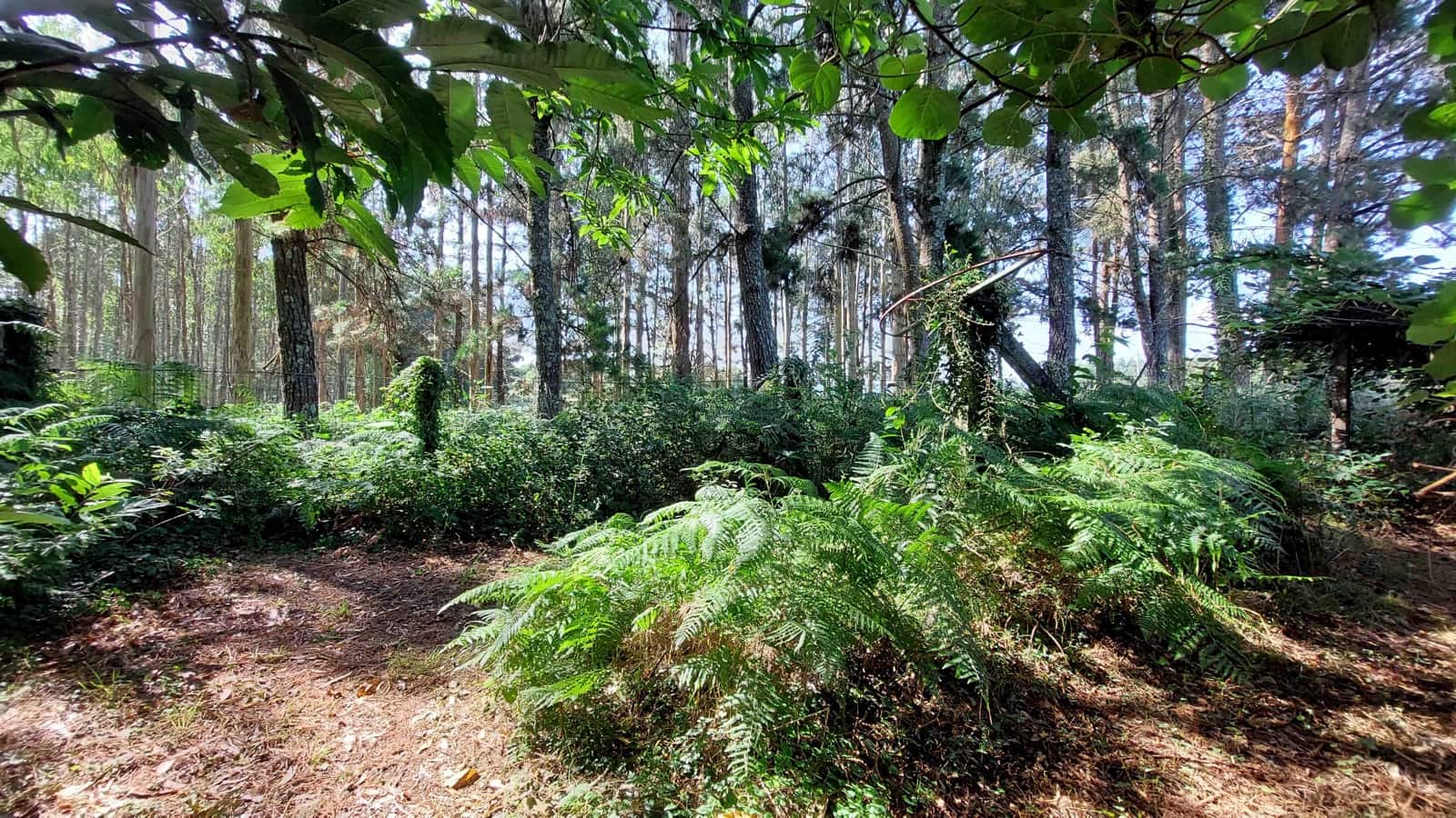 Finca/Casa Rural de 6 habitaciones en Irixoa en venta con garaje - 299.900 € (Ref: 8986376)