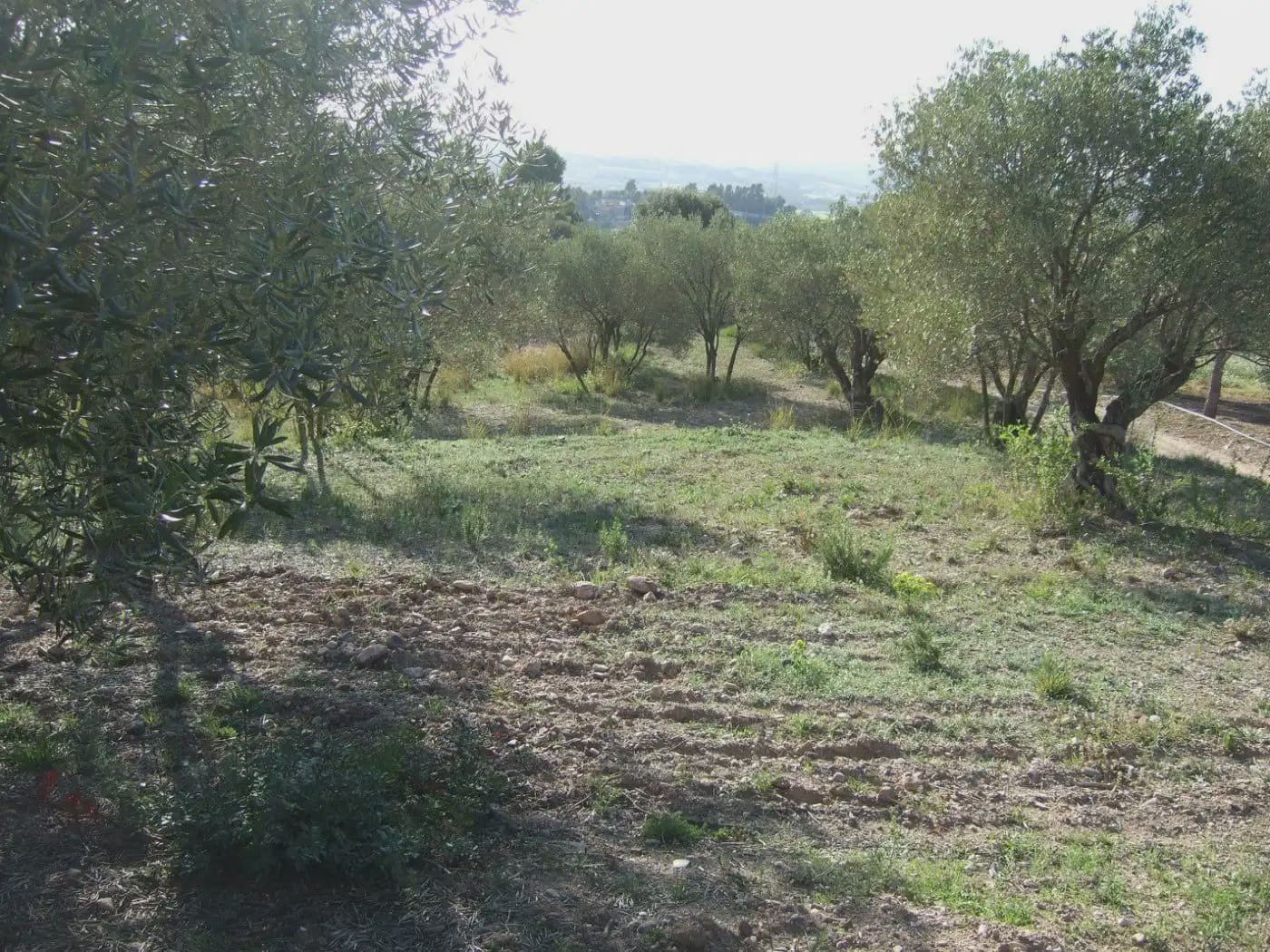 Terreno/Finca Rústica en Castellbisbal en venta - 99.000 € (Ref: 9809061)