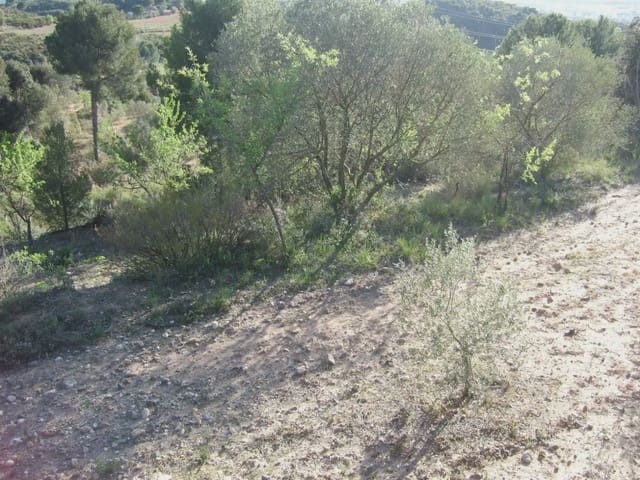 Terreno/Finca Rústica en Castellbisbal en venta - 99.000 € (Ref: 9809061)