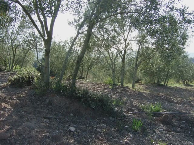 Terreno/Finca Rústica en Castellbisbal en venta - 99.000 € (Ref: 9809061)