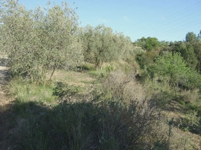 Terreno/Finca Rústica en Castellbisbal en venta - 99.000 € (Ref: 9809061)