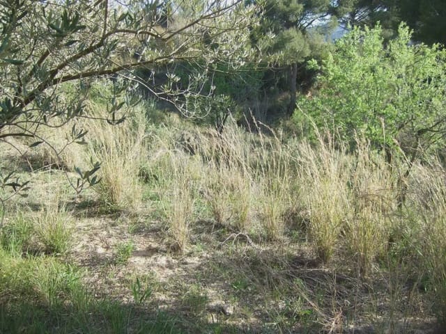 Terreno/Finca Rústica en Castellbisbal en venta - 99.000 € (Ref: 9809061)