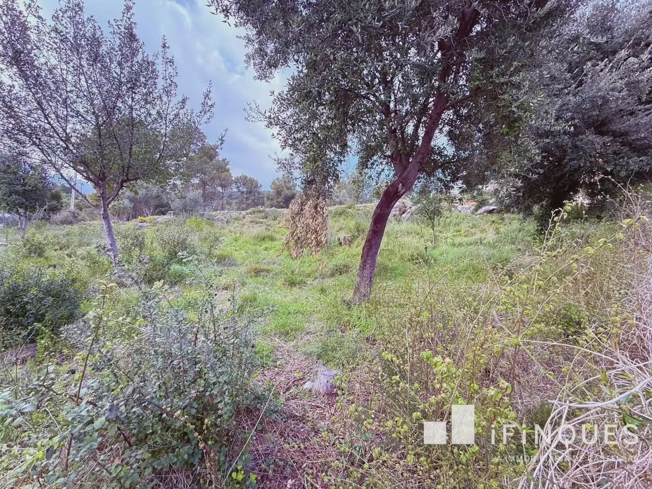 Działka budowlana na sprzedaż w Castellar del Valles - 145 000 € (Ref: 9809068)