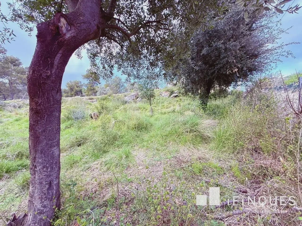 Działka budowlana na sprzedaż w Castellar del Valles - 145 000 € (Ref: 9809068)