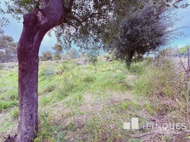 Działka budowlana na sprzedaż w Castellar del Vallès - 145 000 € (Ref: 9809068)