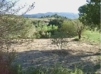 Byggegrund til salg i Castellbisbal - € 79.000 (Ref: 9809076)