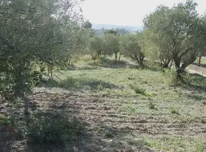 Byggegrund til salg i Castellbisbal - € 79.000 (Ref: 9809076)