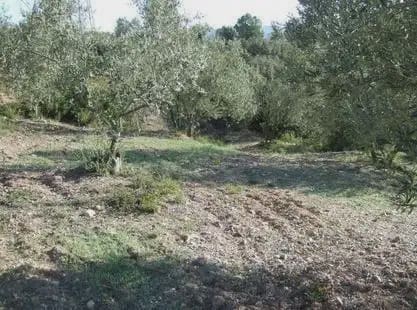 Byggegrund til salg i Castellbisbal - € 79.000 (Ref: 9809076)