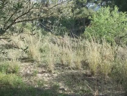 Byggegrund til salg i Castellbisbal - € 79.000 (Ref: 9809076)