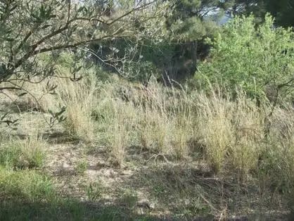 Byggegrund til salg i Castellbisbal - € 79.000 (Ref: 9809076)