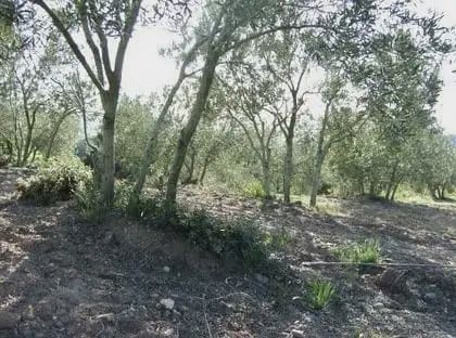 Byggegrund til salg i Castellbisbal - € 79.000 (Ref: 9809076)