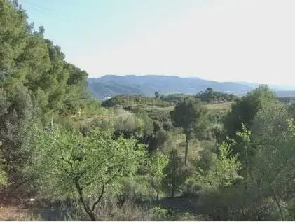 Byggegrund til salg i Castellbisbal - € 79.000 (Ref: 9809076)