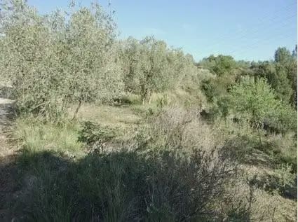 Byggegrund til salg i Castellbisbal - € 79.000 (Ref: 9809076)