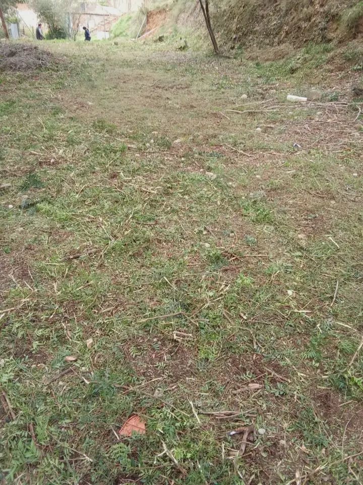 Byggegrund til salg i Rubi - € 150.000 (Ref: 9809086)