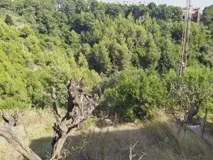 Byggegrund til salg i Ullastrell - € 55.000 (Ref: 9809109)