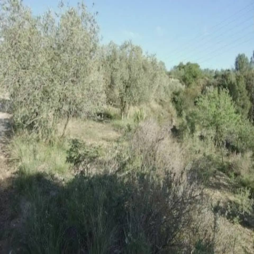 Byggegrund til salg i Castellbisbal - € 60.000 (Ref: 9809118)