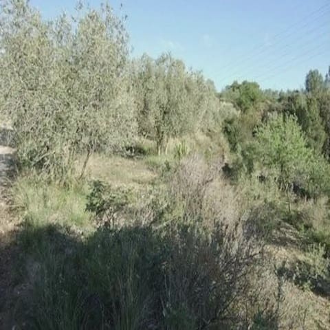 Byggegrund til salg i Castellbisbal - € 60.000 (Ref: 9809118)