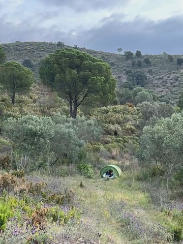 Byggegrund til salg i Castellbisbal - € 60.000 (Ref: 9809118)