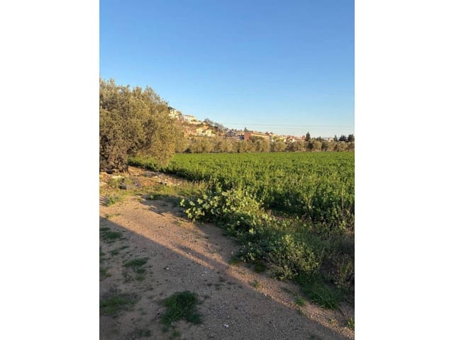 Mark till salu i Caldes de Montbui - 168 000 € (Ref: 9793064)