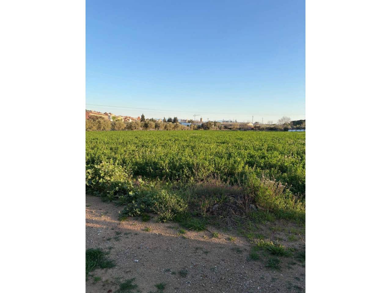 Terre non Aménagée à vendre à Caldes de Montbui - 168 000 € (Ref: 9793064)