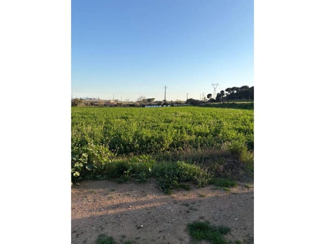 Mark till salu i Caldes de Montbui - 168 000 € (Ref: 9793064)