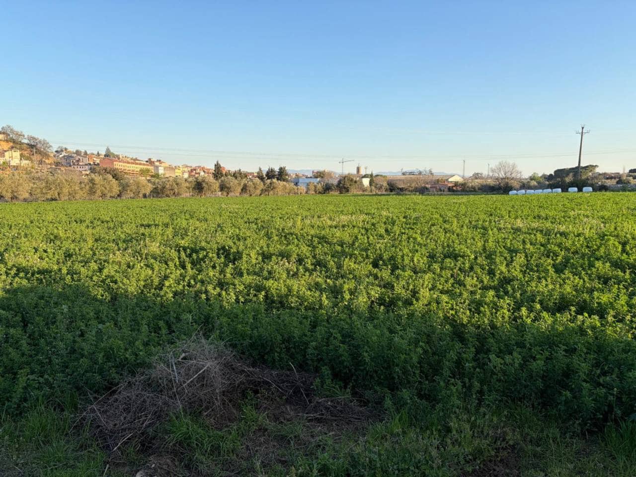 Terre non Aménagée à vendre à Caldes de Montbui - 168 000 € (Ref: 9793064)