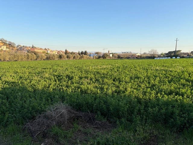 Mark till salu i Caldes de Montbui - 168 000 € (Ref: 9793064)