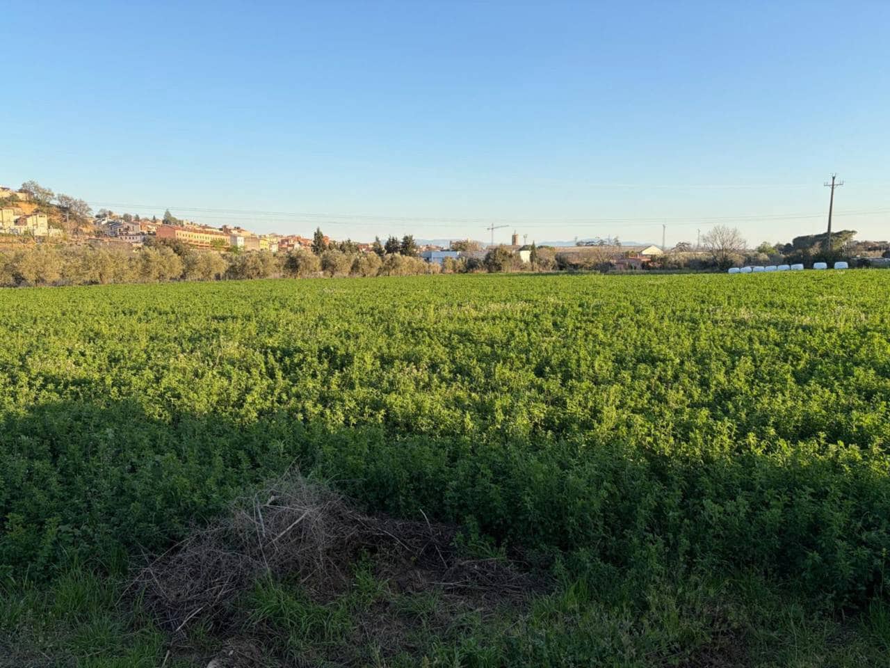 Terre non Aménagée à vendre à Caldes de Montbui - 168 000 € (Ref: 9793064)