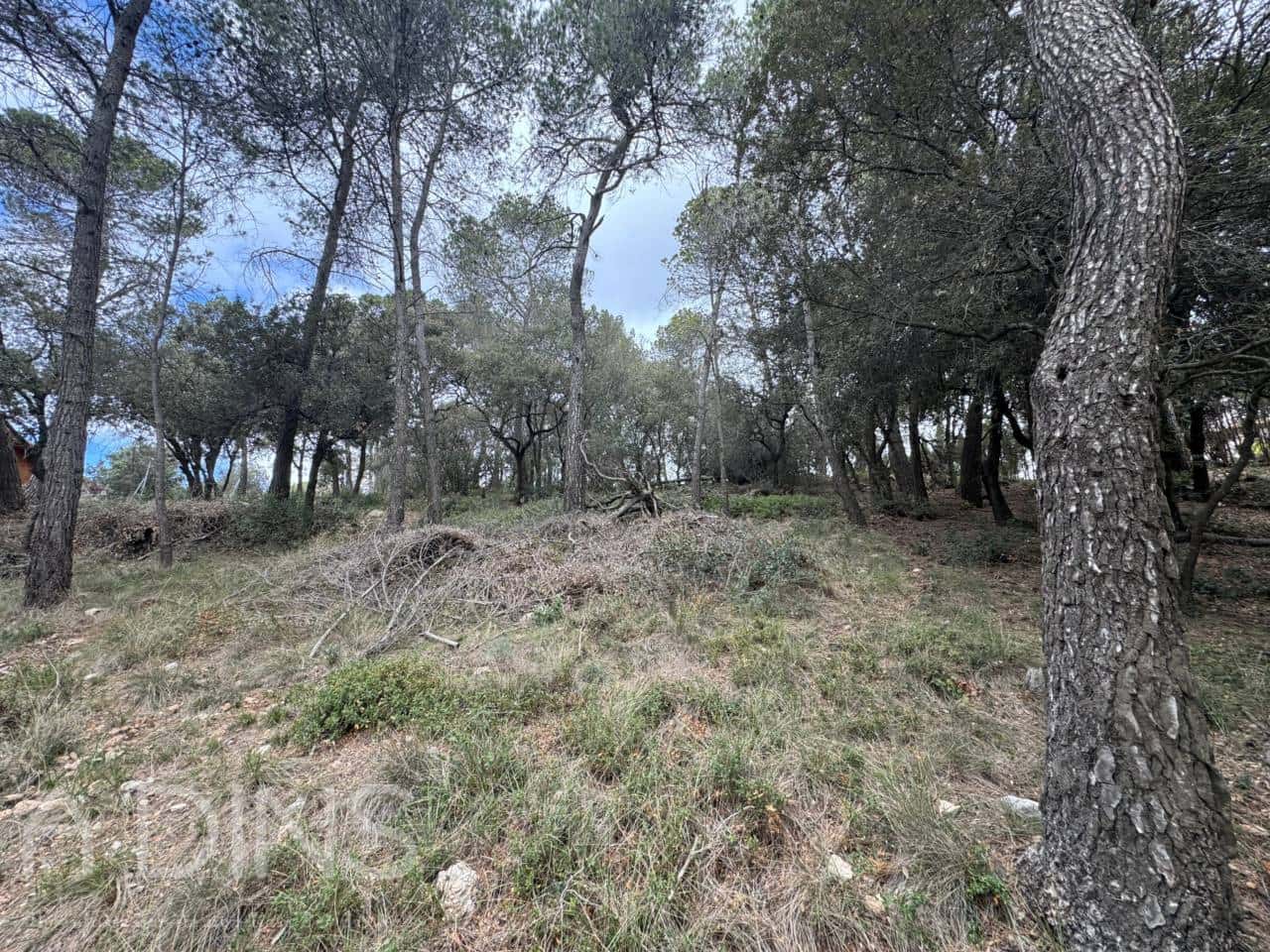 Grond te koop in Caldes de Montbui - € 60.000 (Ref: 9793065)