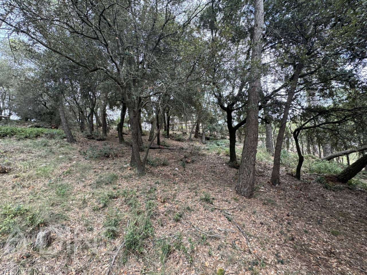 Grond te koop in Caldes de Montbui - € 60.000 (Ref: 9793065)