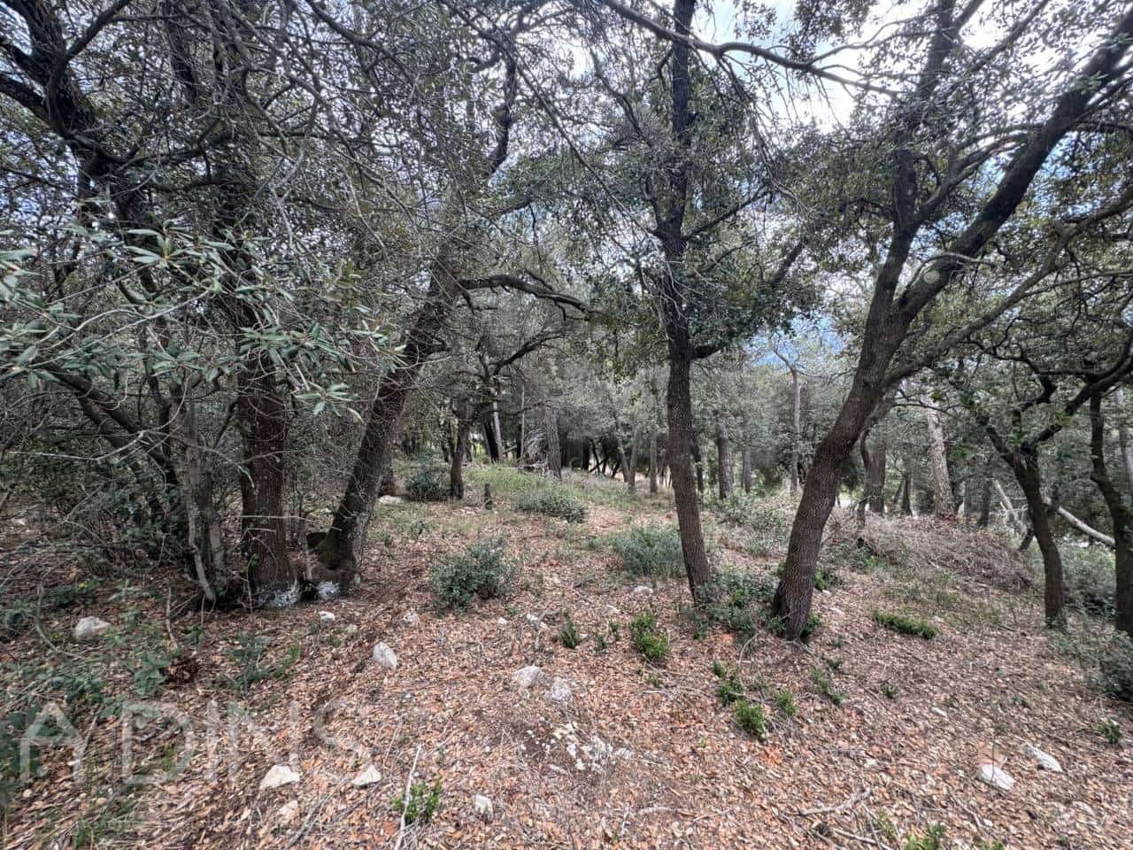 Grond te koop in Caldes de Montbui - € 60.000 (Ref: 9793065)