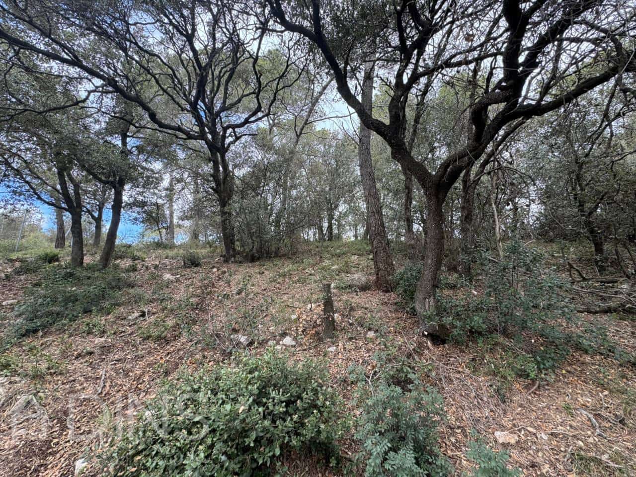 Grond te koop in Caldes de Montbui - € 60.000 (Ref: 9793065)